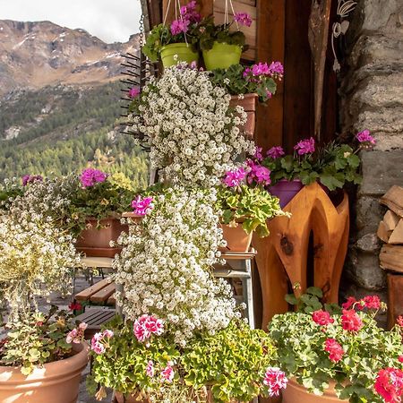 Hotel & Restaurant Perret - Mountain People Валгризенке Екстериор снимка